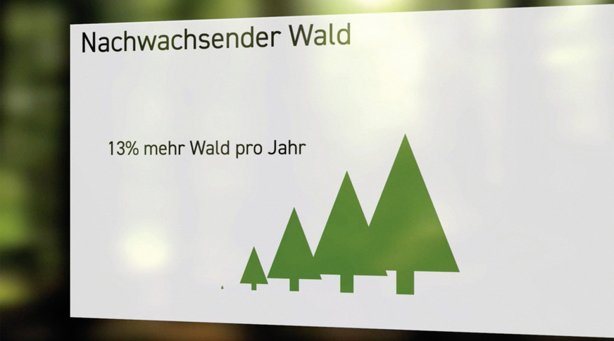 Vom gesamten Waldzuwachs in Deutschland werden 13 Prozent nicht genutzt oder entnommen. Um diesen Anteil wächst der nachhaltig bewirtschaftete Wald weiter.