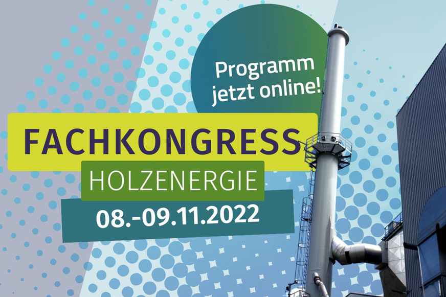 Unter dem Motto „Versorgungssicher, klimaschonend, innovativ – Nachhaltige Holzenergie“ veranstaltet der Fachverband Holzenergie (FVH) im Bundesverband BioEnergie e. V. (BBE) an zwei Kongresstagen insgesamt 12 topaktuelle Sessions mit Podiumsdiskussionen und Fachvorträgen von 60 Referenten und Moderatoren und mit über 250 Teilnehmern.