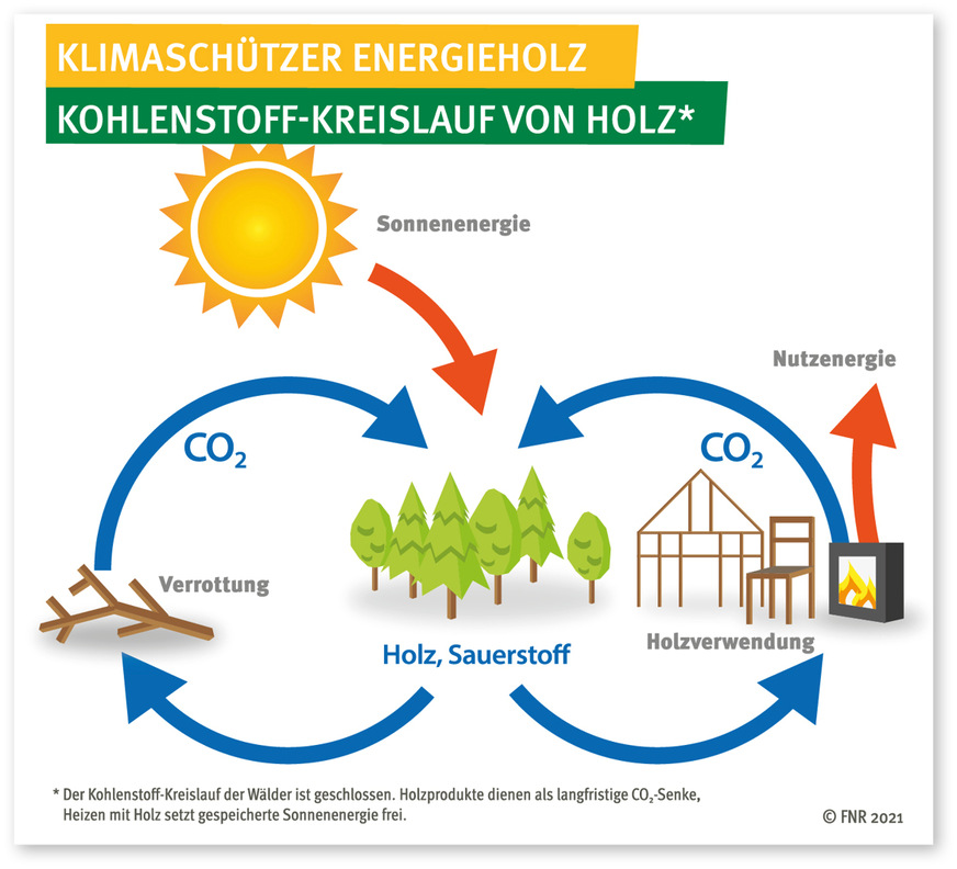 Diese Grafik erklärt, weshalb Scheitholz als regenerativer Energieträger allen fossilen Brennstoffen in Sachen Klimaneutralität überlegen ist.