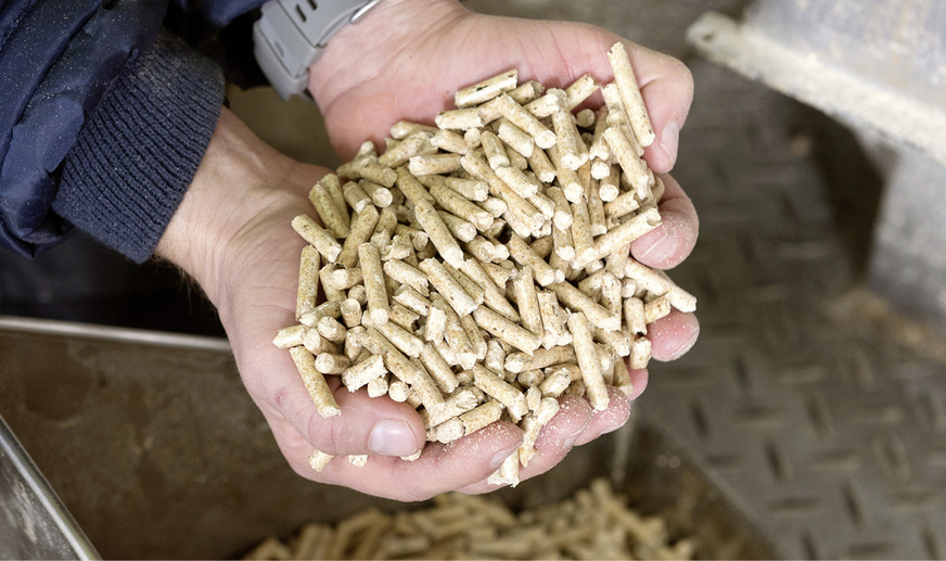Reststoffe der Sägewerke und Schadhölzer aus den Wäldern in Deutschland können zu Holzpellets und Hackschnitzeln verarbeitet werden, mit denen sich klimafreundlich heizen lässt.