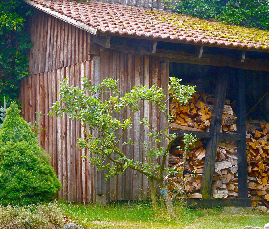 Scheitholz ist als naturbelassener, regenerativer Brennstoff nach wie vor die Nummer 1 im Ofenbereich.