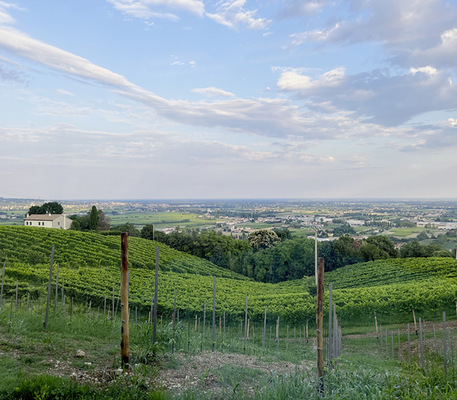 Traumhafte Landschaft: Die Region um Asolo ist immer eine Reise wert – ein Firmenbesuch bei Piazzetta lohnt dabei immer.