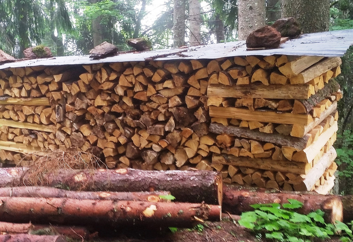 Der Kauf von Brennholz aus der Region unterstützt den Umbau der heimischen Wälder.
