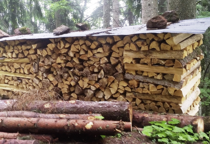 Der Kauf von Brennholz aus der Region unterstützt den Umbau der heimischen Wälder