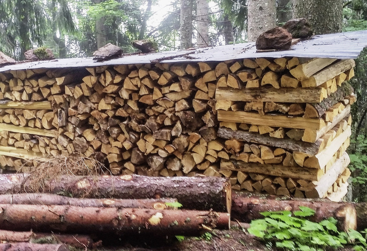 Der Kauf von Brennholz aus der Region unterstützt den Umbau der heimischen Wälder.