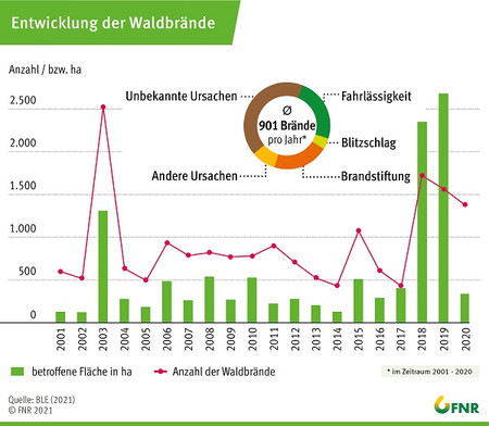 Die Waldbrandfläche konnte deutlich verringert werden, die Zahl der Brände blieb aber hoch.   - © Quelle: FNR
