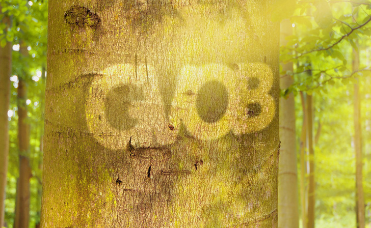 Die klimafreundliche Wärmegewinnung aus Holz ist ein wichtiges Thema des GVOB.