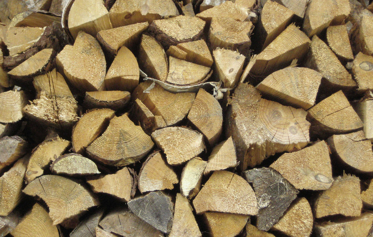 Brennholz sollte jetzt schon für die nächste Heizperiode bestellt werden.