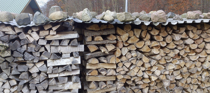 Mit seiner regionalen Verfügbarkeit und der geringen Verarbeitungstiefe ist Holz nach wie vor ein annähernd klimaneutraler Brennstoff. - © Foto: FNR/Dr. Hansen
