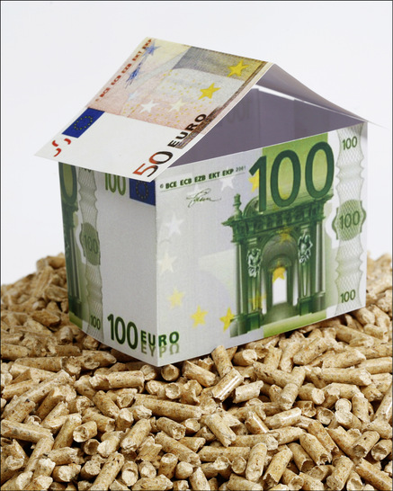 Eigenheimbesitzer, die künftig auf Öl oder Gas verzichten und stattdessen mit Holzpellets heizen, bekommen vom Staat hohe Zuschüsse.