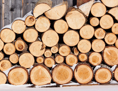 Holz ist Standbein der Erneuerbaren Energien.
