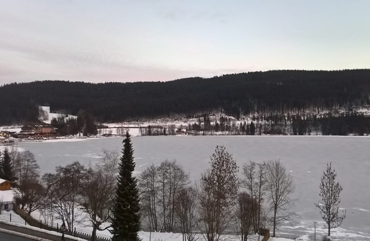 Nach drei Jahren Coronaabstinenz findet das Walter-Bucerius-Seminar wieder in Titisee statt. - © Foto: Jutta Lorenz
