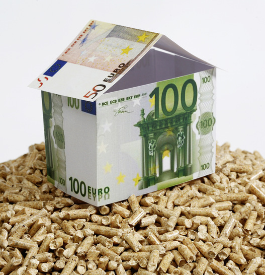 Das Pelletinstitut empfiehlt bei bekannten und zuverlässigen Händlern mit ENplus-Zertifikat vor Ort zu bestellen. Lockangebote im Internet sollten ignoriert werden.  