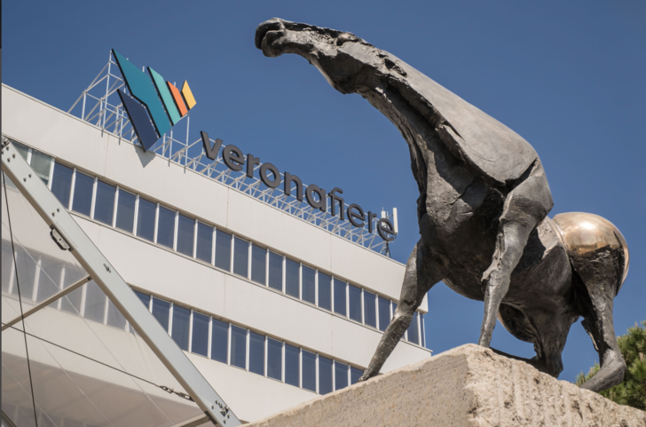  In den Messehallen der Veronafiere findet die Progetto Fuoco statt. 