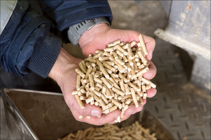 Reststoffe der Sägewerke und Schadhölzer aus den Wäldern in Deutschland können zu Holzpellets und Hackschnitzeln verarbeitet werden, mit denen sich klimafreundlich heizen lässt.
