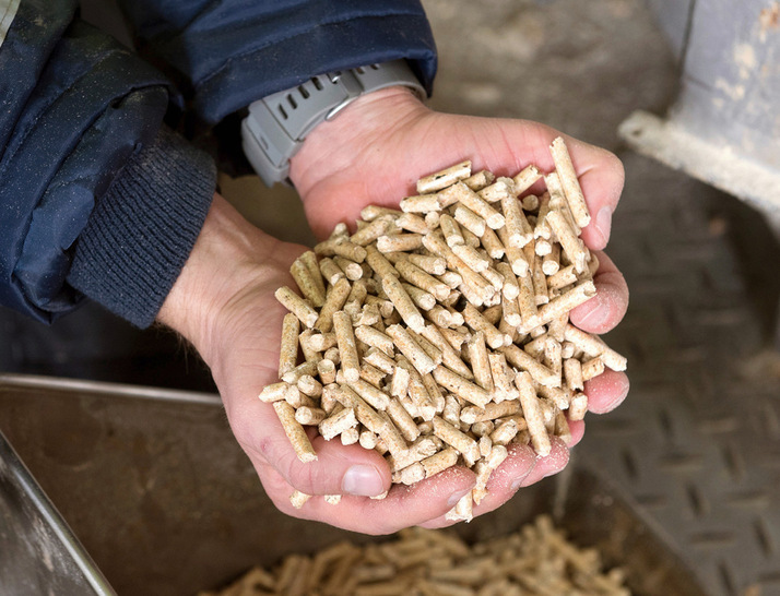 Reststoffe der Sägewerke und Schadhölzer aus den Wäldern in Deutschland können zu Holzpellets und Hackschnitzeln verarbeitet werden, mit denen sich klimafreundlich heizen lässt. DEPI/txn