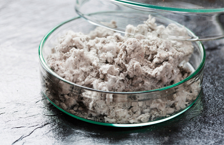 Einst als „Wunderfaser“ geschätzt, sorgt das wegen seiner erheblichen Gesundheitsgefahren in Deutschland seit 1993 verbotene Fasermaterial heute nur noch für Probleme.