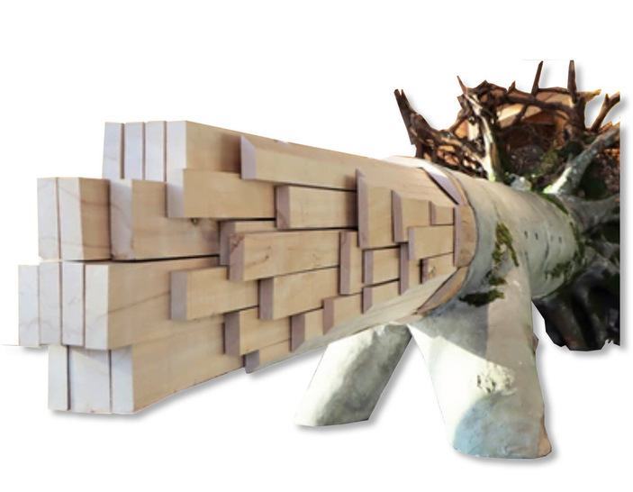 Die Holzreste dieses hochwertigen Nutzholzes und mindere Holzqualitäten kommen bei der Holzverbrennung zum Einsatz.