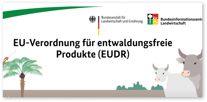 Im Erklärvideo von BLE erfahren Sie, wie die Verordnung in der Praxis umgesetzt wird. https://youtu.be/8NfChZ6zJz8