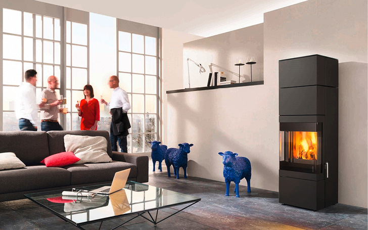 Feuerstätten bieten eine kostengünstige und sichere Wärmeversorgung.