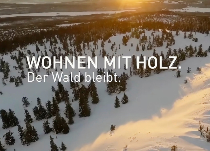 Der Film ist unter dem Link  https://lnkd.in/deGYX928 zu sehen.