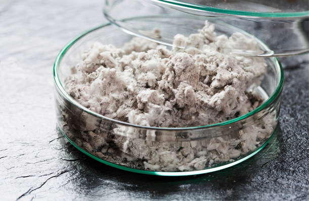 Einst als „Wunderfaser“ geschätzt, sorgt das wegen seiner erheblichen Gesundheitsgefahren in Deutschland seit 1993 verbotene Fasermaterial heute nur noch für Probleme.