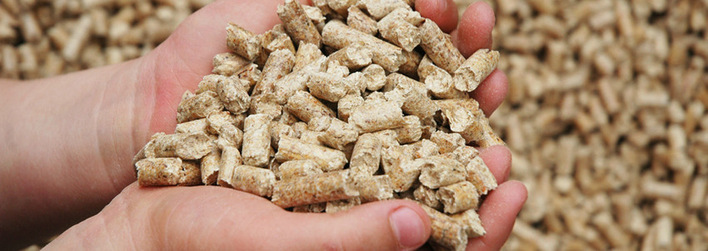 Das Deutsche Pelletinstitut (DEPI) rät zur ­Vorsicht beim Pelletkauf im Online-Handel.