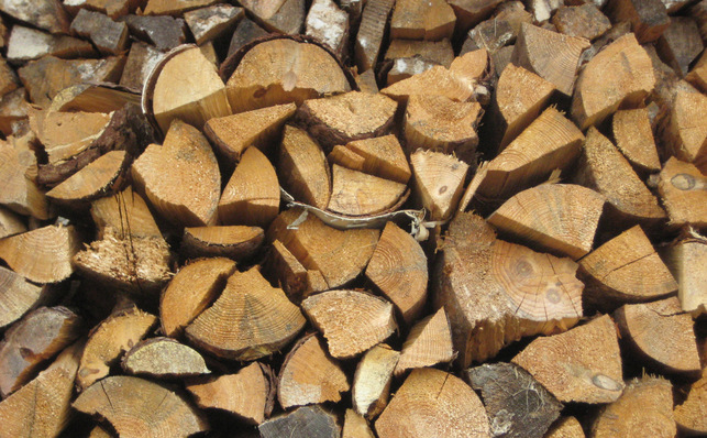 Bildunterschrift:  Holz zählt neben Wind, Wasser und Sonne zu den erneuerbaren Energien und überzeugt als Brennstoff mit einer bis auf den Transportaufwand annähernd neutralen Ökobilanz.