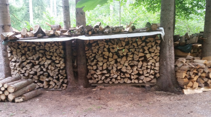 Brennholz wird in der Regel aus Kronen- oder Stammholz gewonnen, dass für andere Zwecke nicht geeignet ist 